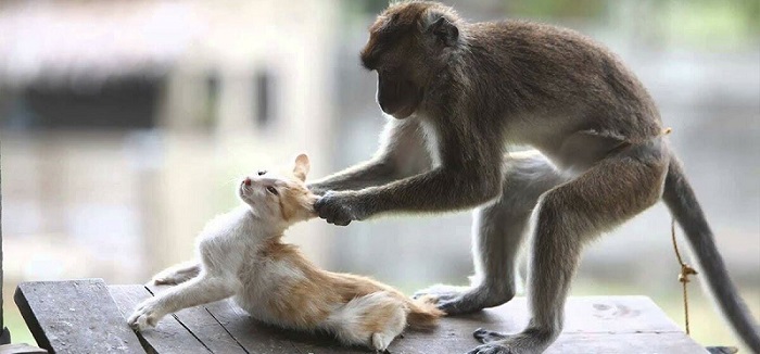 Приколы_002 Приколы_002